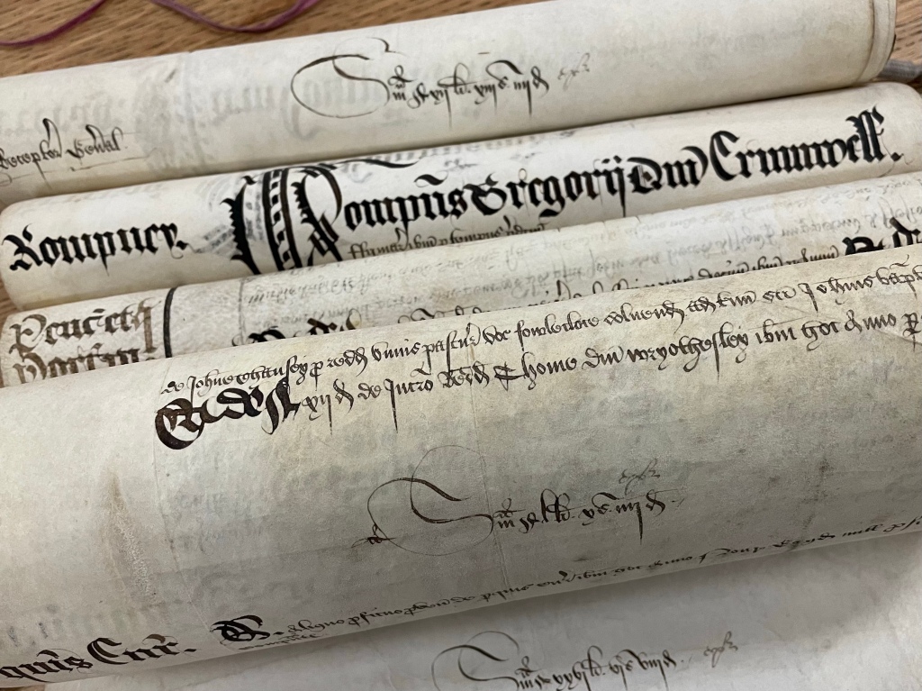 Four sheets of parchment, which have been rolled since the 16th century, sprung back into individual roles.The words “Gregory Cromwell” are visible on the second roll down.
